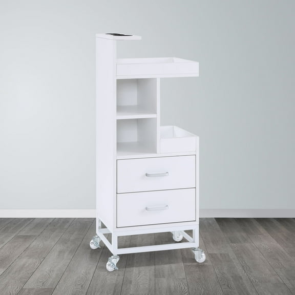 BarberPub Rolling Storage Trolley Cart with Wheels & Tool Holders, 6 Tier Utility Organizer Mobile Salon Storage Cabinet(White)