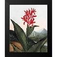thumbnail image 2 of Thornton, Dr R 15x18 Black Modern Framed Museum Art Print Titled - Indian Reed, 2 of 5