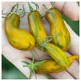 thumbnail image 1 of Everwilde Farms - 1 oz Sausage Heirloom Tomato Seeds - Gold Vault Bulk Seed Packet, 1 of 2