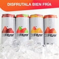 thumbnail image 4 of FITZER Agua Mineral con Alcohol Destilado y Sabor Natural - 24 Latas de 355 ml - Mix Pack, 4 of 7