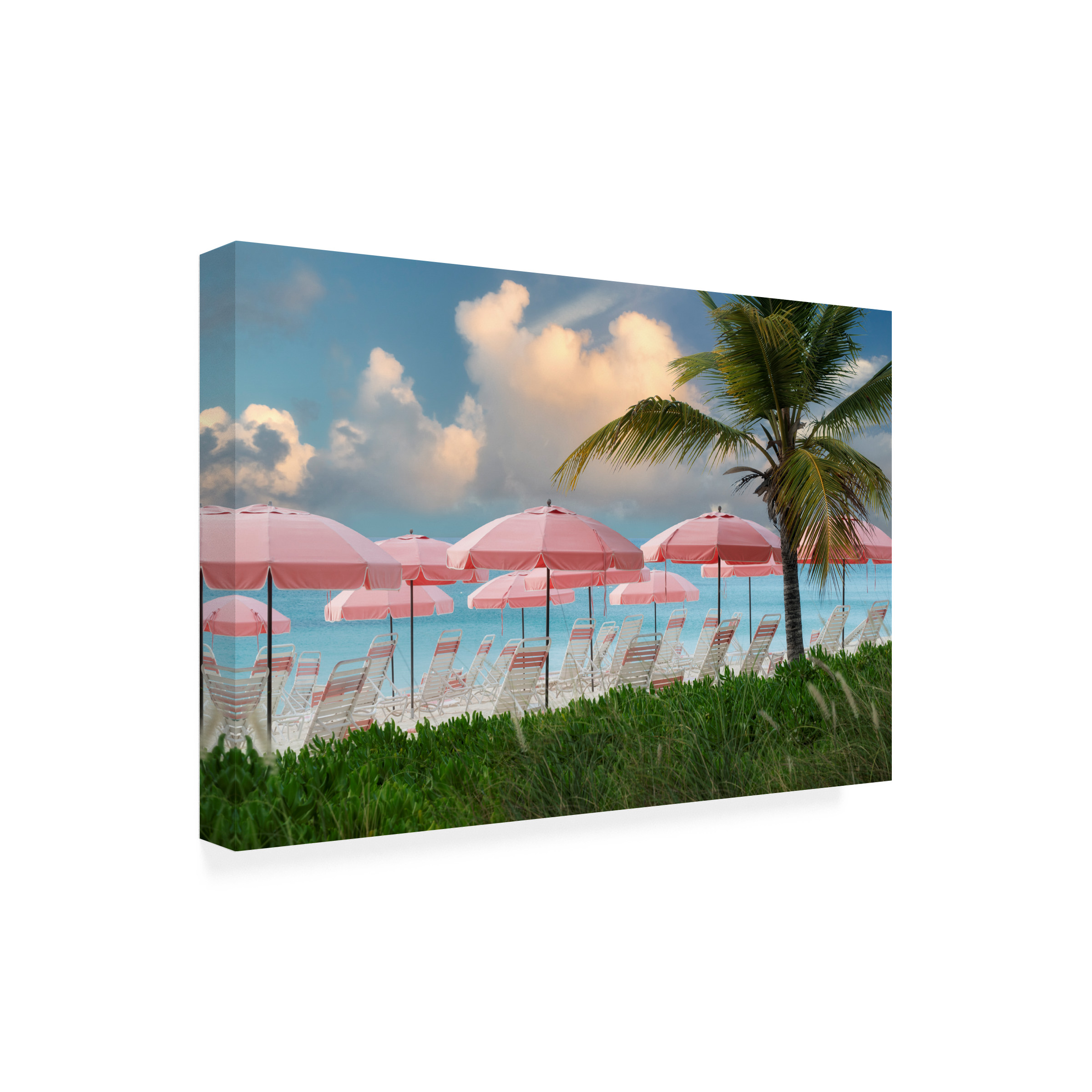 Dennis Frates 'Pink Beach Umbrellas' Canvas Art