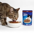 thumbnail image 4 of Alimento para Gato Purina Felix Trocitos Jugosos Sabor Pavo 85 g, 4 of 4