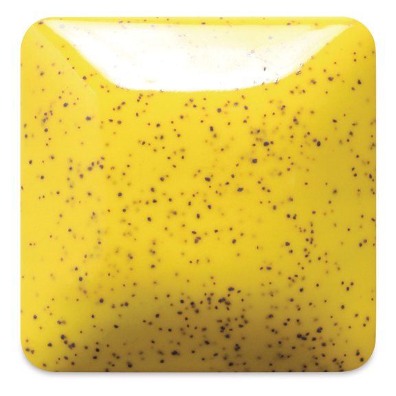 Creative Hobbies Gespikkelde Mayco Stroke en Coat Wonderglaze voor Bisque - 12 Verschillende 2 oz potten met hoe aardewerk boek te schilderen, SPKIT2
