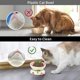 thumbnail image 4 of Cuencos elevados de cerámica para gatos, cuenco de agua y comida para gatos inclinado elevado, plato alimentador para mascotas para gatos y perros, 4 of 5
