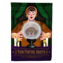 Carolines Treasures MLM1387CHF 40 x 28 in. Smooth Dachshund Halloween House Flag