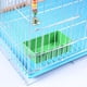 thumbnail image 1 of Bandeja de alimentos multifunción Parrot Bañera Caja de ducha de lavado de pie Hugtrwg Para estrenar, 1 of 7