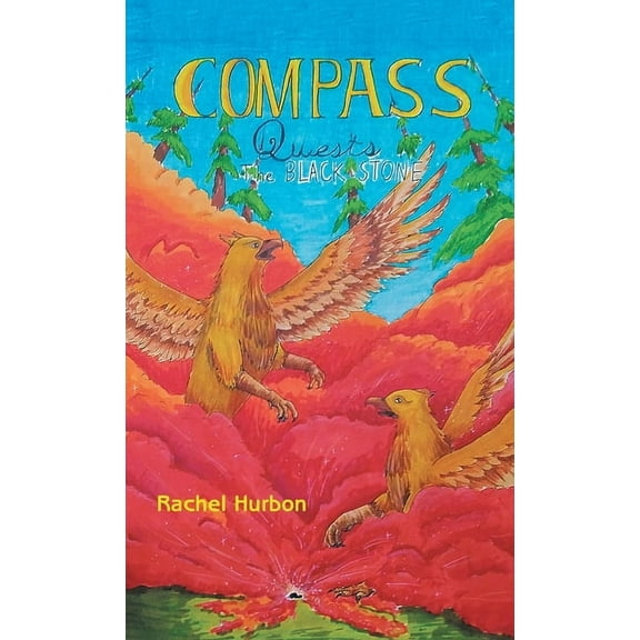 Compass Quests: The Black Stone, (Hardcover)