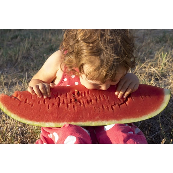 50 * Seeds FLORIDA GIANT WATERMELON Cannon Ball Black Diamond Citrullus Fruit Seeds