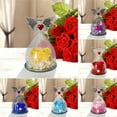 Forever Flowers Preserved Rose in a Box Roses That Last ten Years
