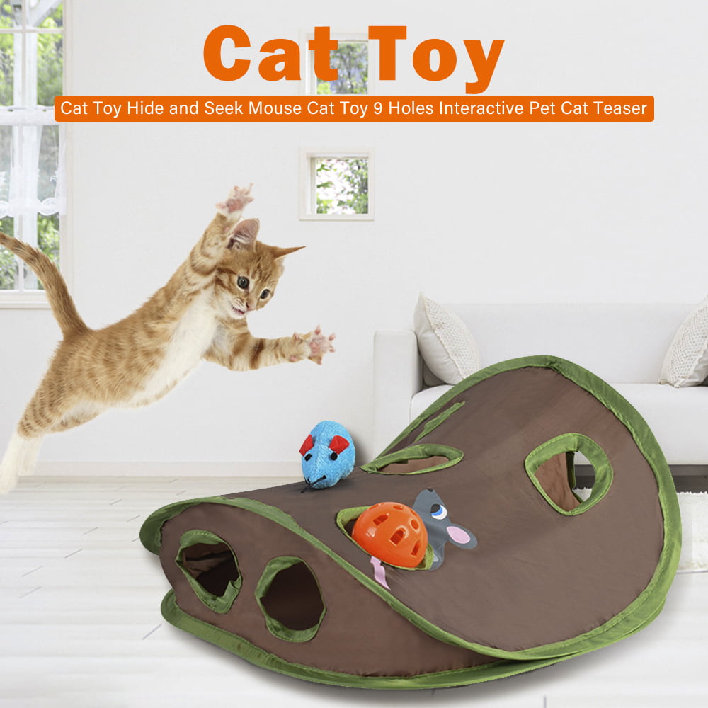 cat's toys