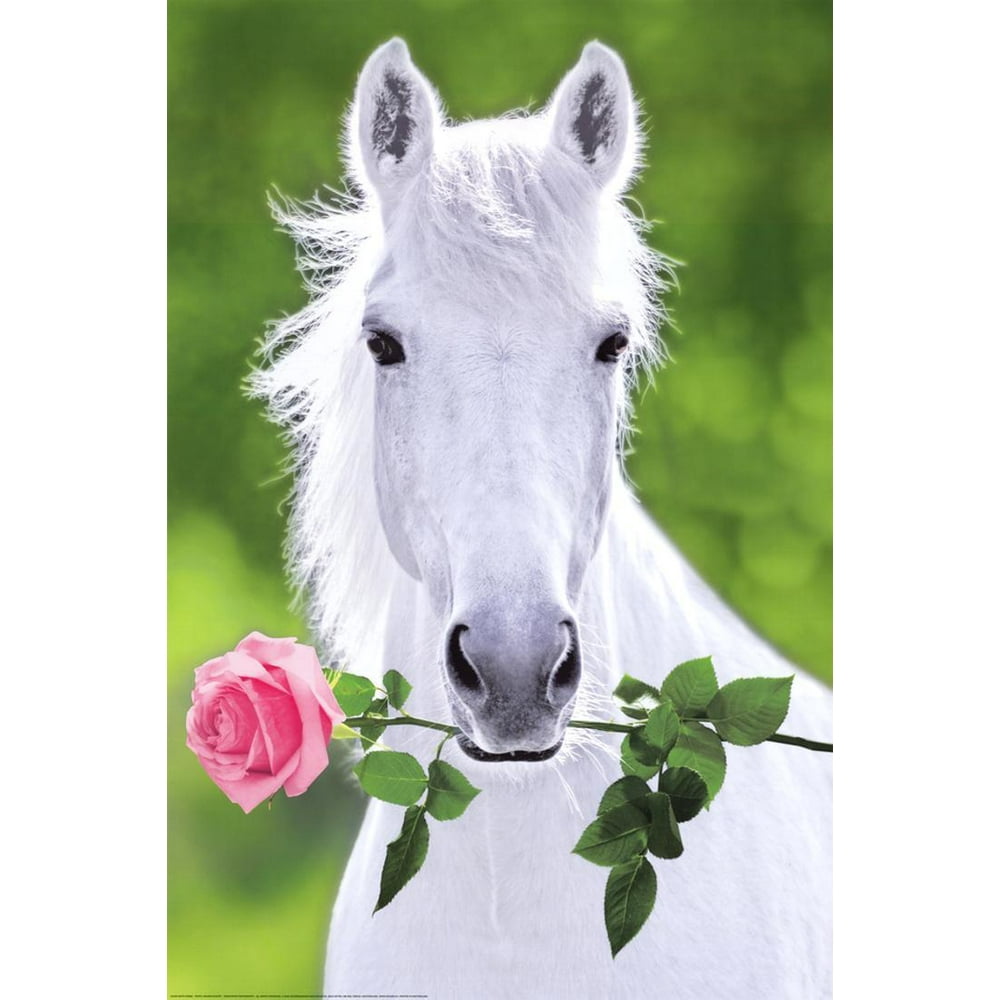 White Horse (Holding Pink Rose) Art Poster Print Poster 24x36