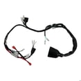 thumbnail image 1 of Arnes Electrico Vento Crossmax 220 (25) 12V, 1 of 3