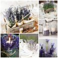 thumbnail image 2 of Flores secas de lavanda Cedar Space, 4 racimos, 2 of 6