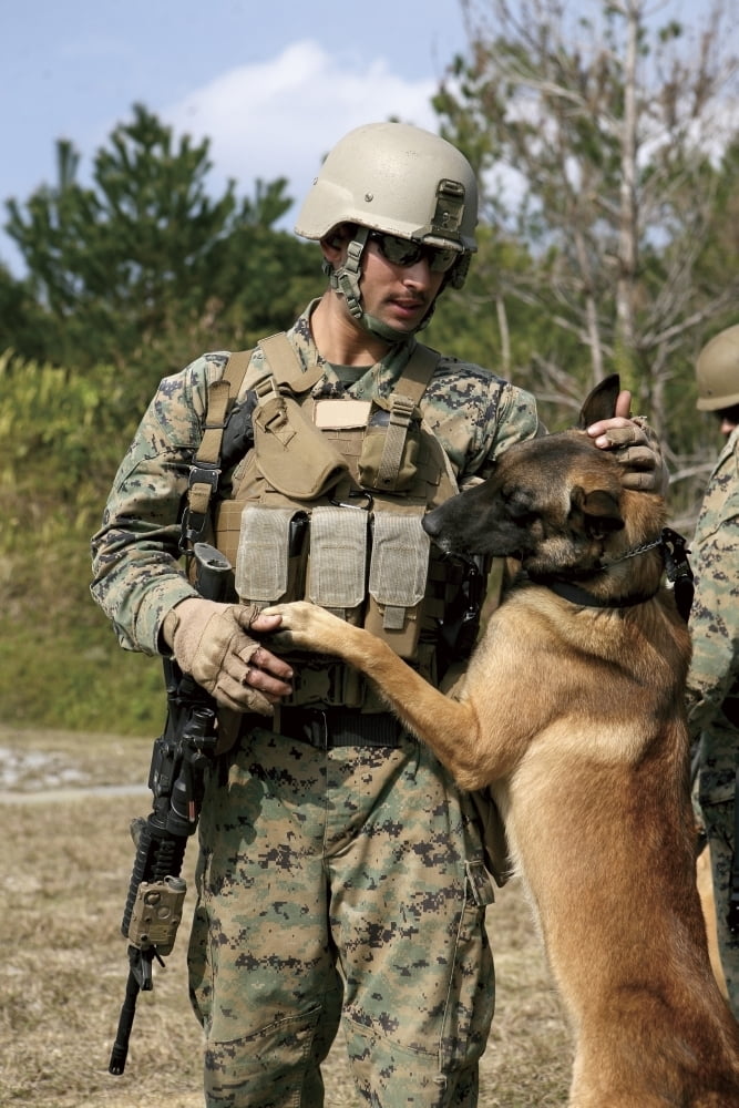A dog handler gives positive reinforcement to his military