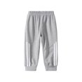 thumbnail image 2 of Fdqin Boys Sweatpants - 3 Pack Elastic Waisted Stripes Athletic Jogger Pants for Kids 3-12 Years, 2 of 7