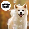 thumbnail image 3 of Apuakthei Collar para perros de cuero con remaches anchos de 2 ",, 3 of 5