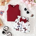 thumbnail image 2 of XZNPDUCQ Toddler Girls Summer Outfit Lion Embroidered Short Sleeve T-Shirt Tops Pockets Shorts Set Casual Elastic Shorts 2Pcs Summer 2Pcs T Shorts Set Dailywear Red，9-12 Months, 2 of 9