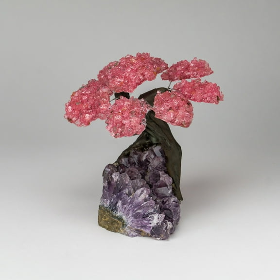 Genuine Rose Quartz Clustered Gemstone Tree on Amethyst Matrix (5 inches)(The Love Tree)