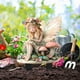 thumbnail image 5 of Estaca de Jardín con Elfos Del Bosque y Ciervos | Inserto Acrílico para Suelo de 22,5 X 30 Cm | Decoración de Jardín Resistente a La Intemperie | Decoración Caprichosa con Planta En Maceta | Idea de, 5 of 6