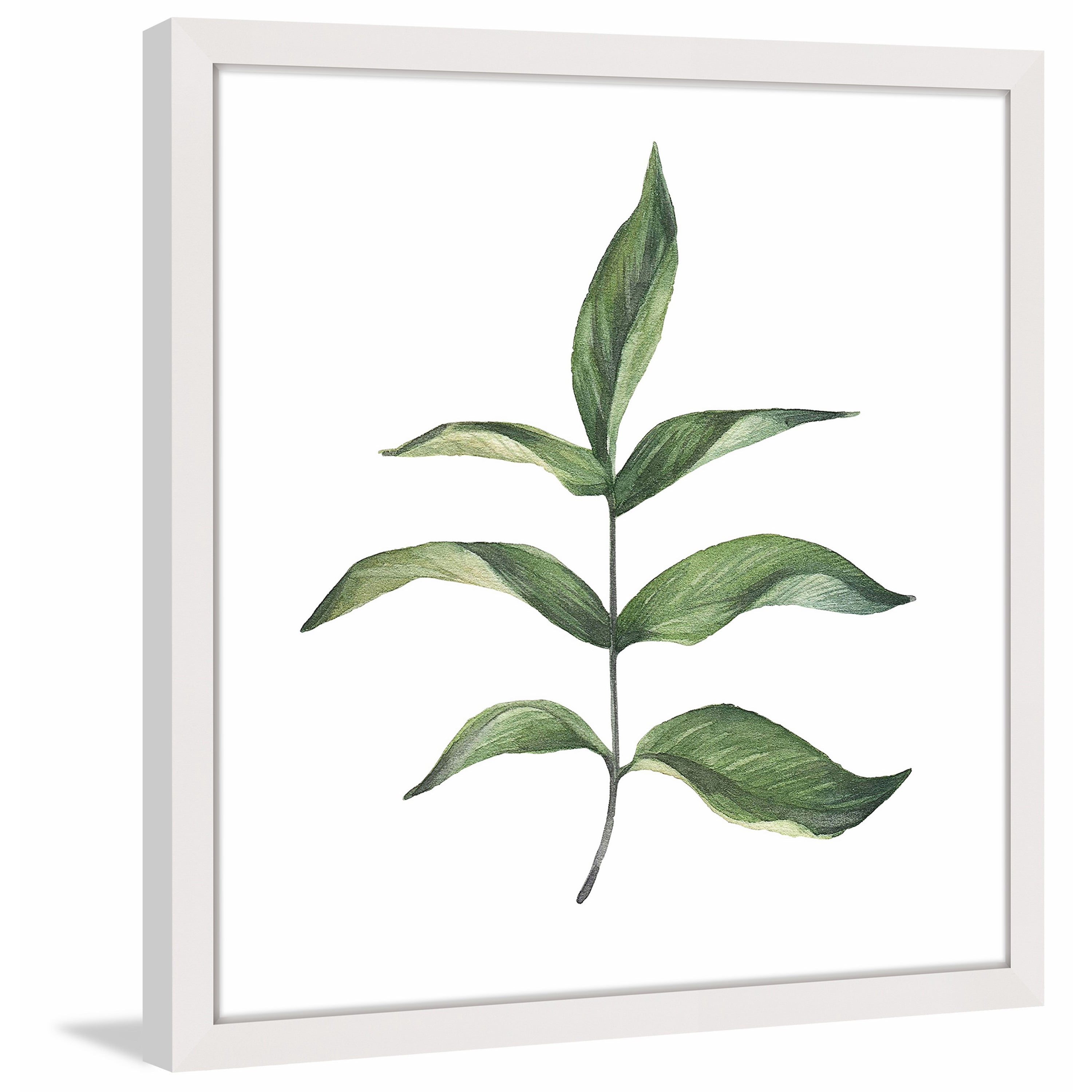 Marmont Hill "Top Leaf III" by Shayna Pitch Framed Painting Print