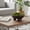 Brown, variant on Footed Decorative Bowl for Living Room Décor - Multipurpose Accent Bowl for Coffee Table, Kitchen Counter, and Dining Room - 5", Brown