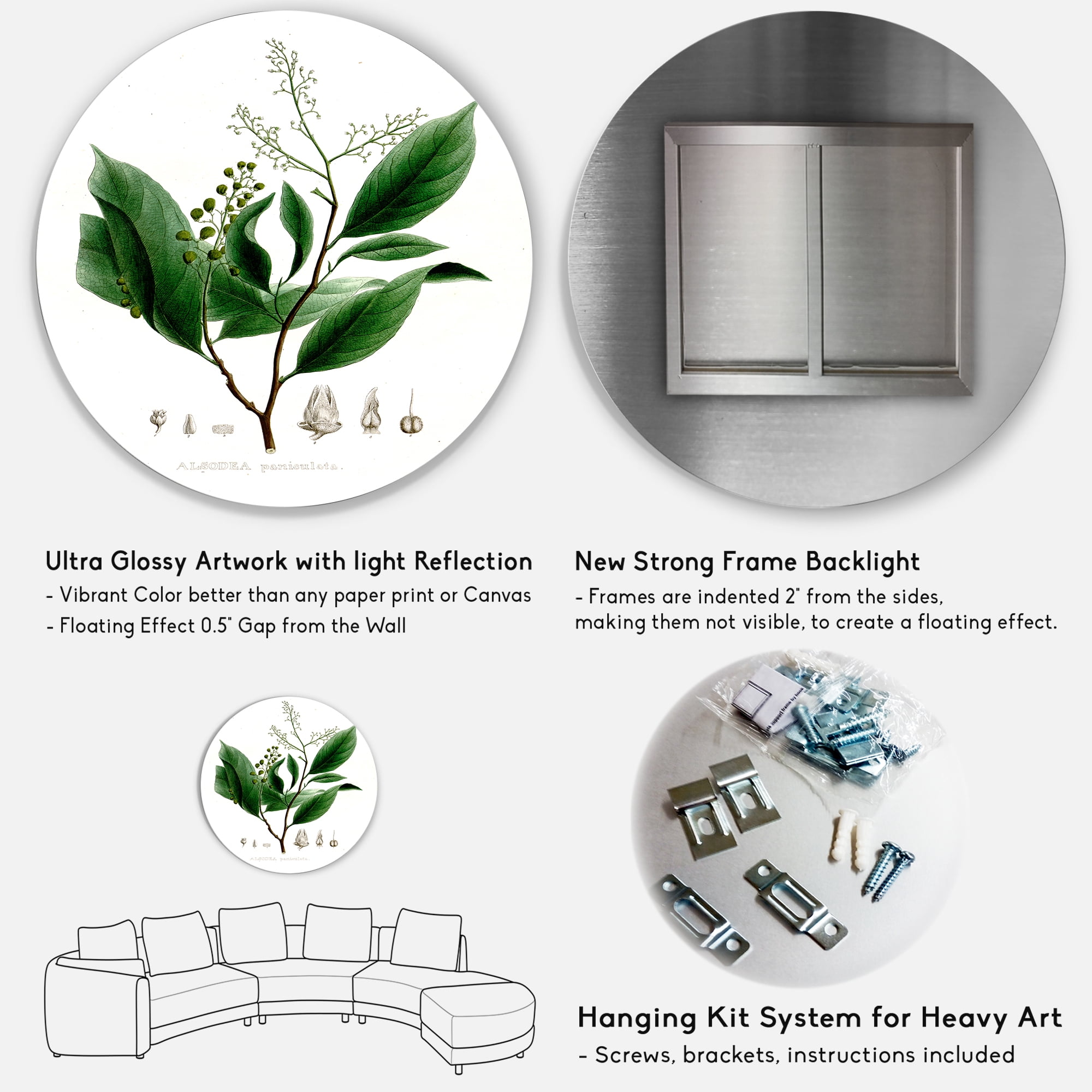 Designart 'Ancient Brazilian Plant II' Traditional Circle Metal Wall Art 11x11 - Disc of 11