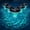 5PCS, variant on Solar Floating Pool Light with Fish Projection, 2026 Magic Fish Projection Pool Light, Mesmerizing Swimming Lights with Magical Glow in the Dark for Pools, Ponds, Fountains (1PC)