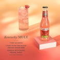 thumbnail image 5 of Fever-Tree Blood Orange Ginger Beer , 4 Pack, 200 ML Glass Bottles, 0% ABV, 5 of 7