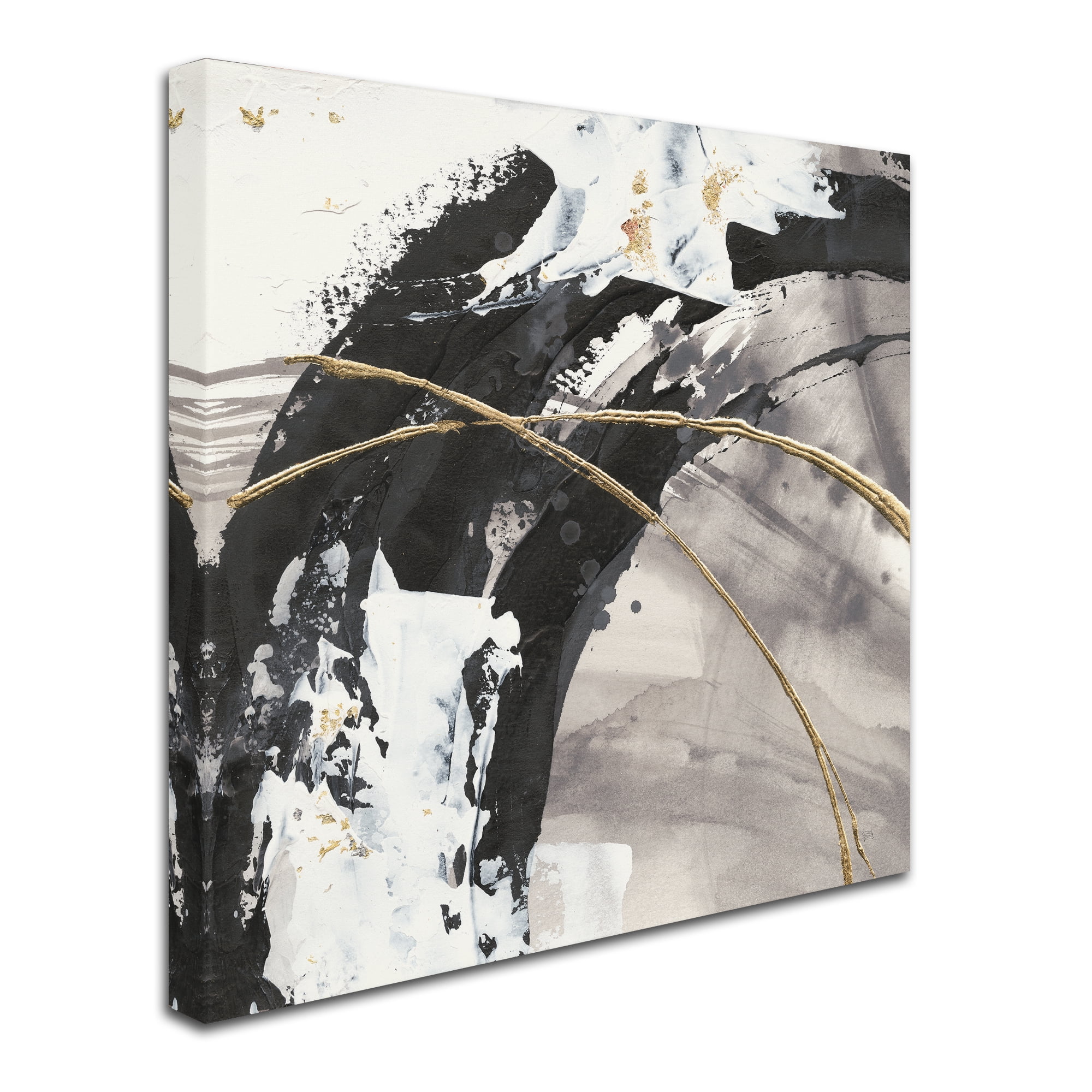 Trademark Fine Art 'Gilded Arcs II' Canvas Art by Chris Paschke