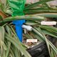 thumbnail image 5 of Regador Automático A2646 con Válvula de Control, Sistema de Goteo Eficiente para Riego de Plantas, Pack de 12 en Azul, Ahorra Agua y Tiempo., 5 of 7