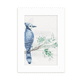 thumbnail image 1 of Marco de fotos Unbranded Branch Leaf Blue Parrot 5x7 pulgadas Blanco, 1 of 4