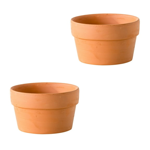 2Pcs Cactus Plant Pots with Drainage Hole for Garden Bonsai Terracotta