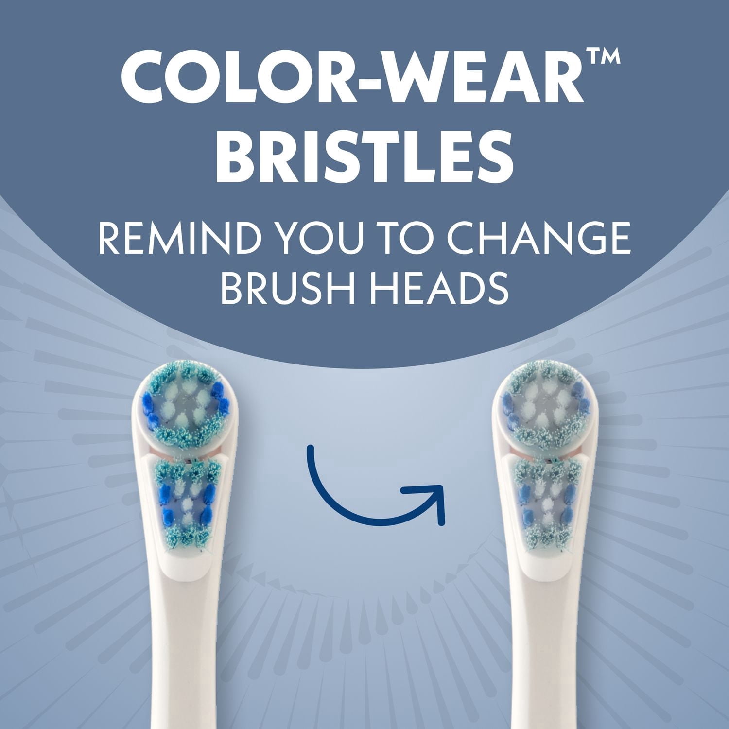 Brosse à dents électrique à pile Spinbrush Smart Clean pour adultes avec tête à double action, compteur et minuterie, Bleu nocturne, soies souples, 1 unité