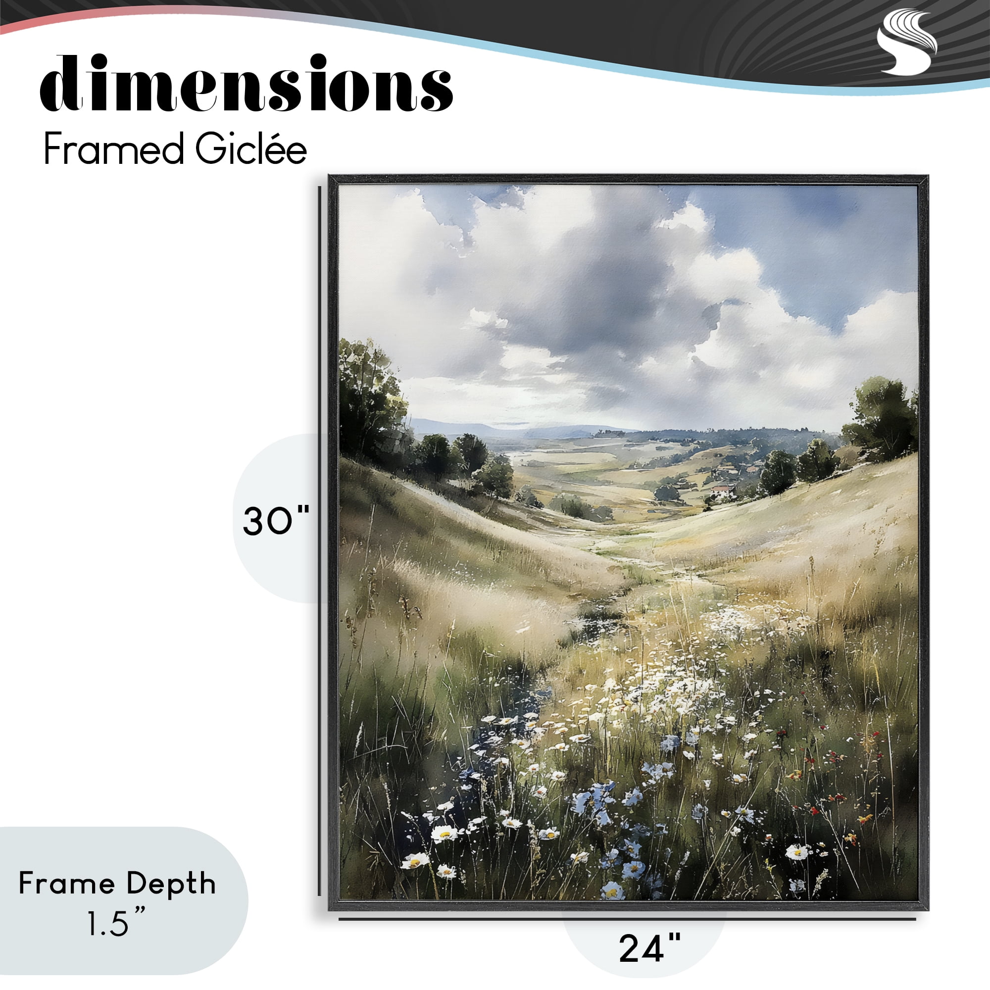 Stupell Industries Floral Valley of Wild Daisies Black Framed Giclee Art, design by Franklyn Gregory