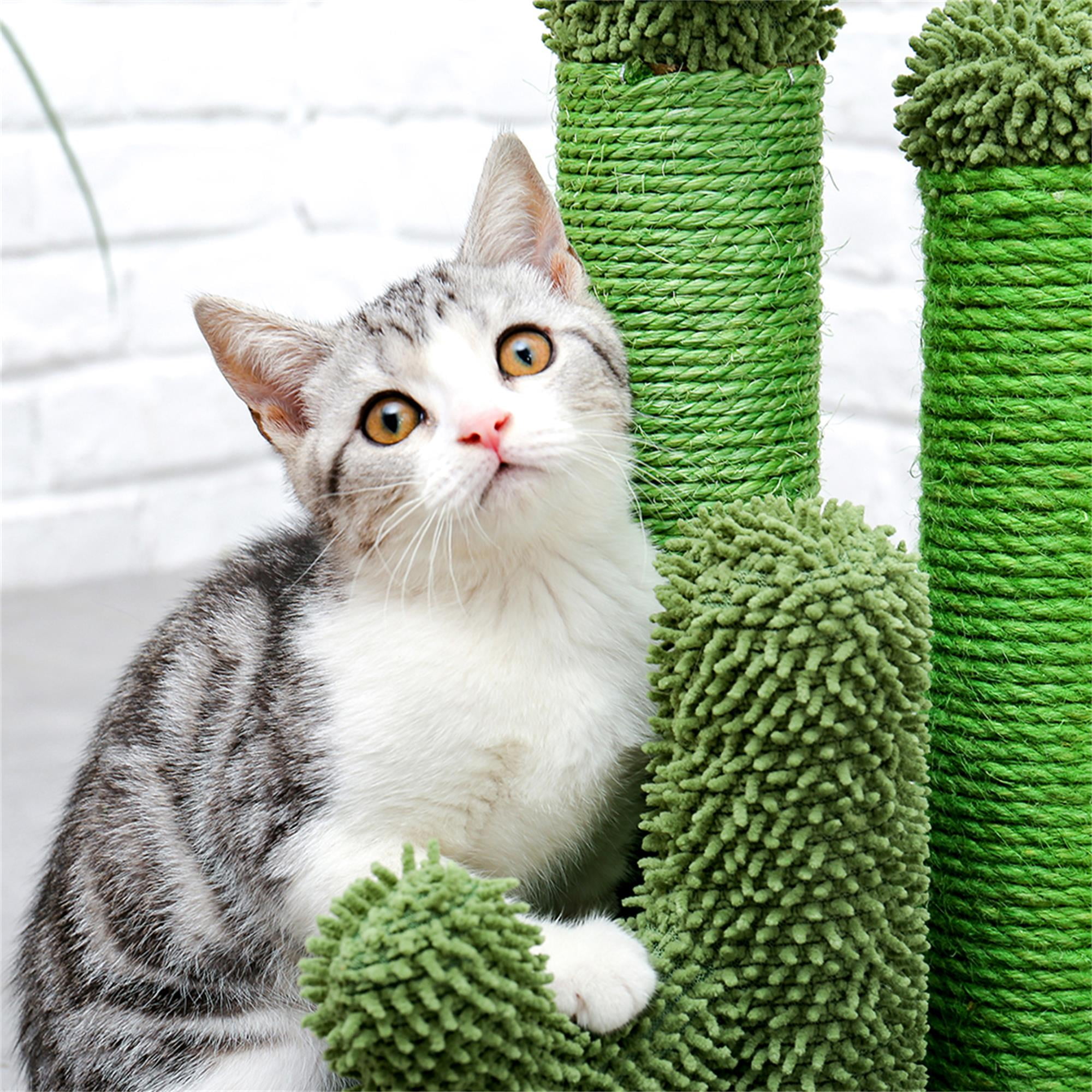 resenkos 23" Cat Scratching Post, Cactus Cat Scratcher Kitten Scratch Post for Indoor Cats, Claw Cat Tree with Dangling Ball for Kitties, Green M
