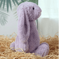 thumbnail image 6 of Kiewfjdk Soft Easter Bunny Plush Toy - Cute Stuffed Rabbit Animal | Fluffy Long-Ear Bunny for Kids, Bunny Stuffed Animal, Easter Decor & Nursery | Purple Colors (Perfect for Mother's Day Gifts), 6 of 9