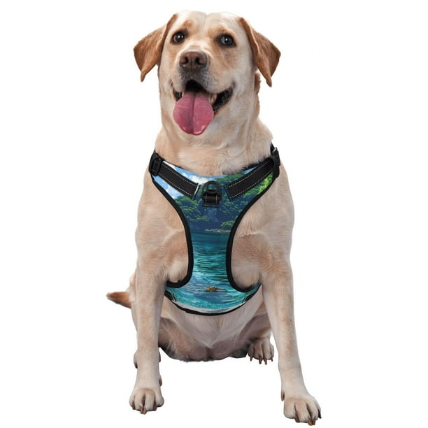 Fotbe Tropical Paradise Window View Arnés para Perro con Estampado –Chaleco Ajustable Acolchado con Asa de Control para Perros Grandes-Medium