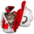 thumbnail image 4 of Sudadera con capucha con estampado 3D de animales de gato de Canadá para hombres y mujeres, sudaderas de gran tamaño, moda urbana, sudadera con capucha para niños, ropa deportiva Y2k, 4 of 5