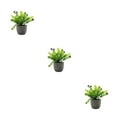 thumbnail image 1 of kurtrusly Realistic Artificial Succulent Low Maintenance Elegant Easy To Clean Artificial Money Tree In Pot purple babysbreath 3Set, 1 of 6