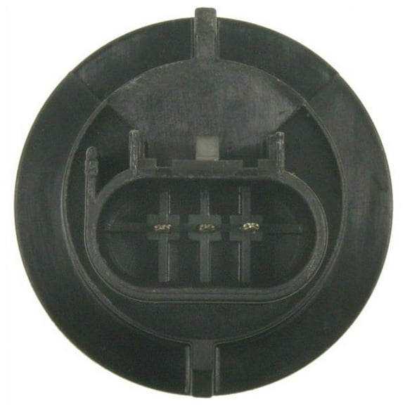 Back-Up Light Socket