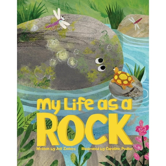 My Life as a Rock, (Hardcover)