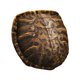 thumbnail image 2 of Juguete de peluche creativo BLESIY disfraz de animal relleno Caparazón de tortuga portátil, 2 of 8