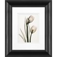 thumbnail image 1 of Timeless Frames 55250 Cadre Photo 8 x 10 Po Tulipes Roses, 1 of 1