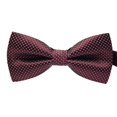 thumbnail image 1 of Baohd Cravate Formelle à Motif Coloré pour Hommes Adulte Homme Affaires Réunion Mariage Fil Polyester Nœud Papillon, 1 of 9