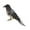 Grey Bird, variant on S SERENABLE Seagull with Artificial Bird Feathers, Realistic Ornament for Garden Decoration Parrot 2