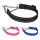 thumbnail image 1 of Collardirect Collar Martingale Para Perro, Cadena Ajustable, 1 of 5