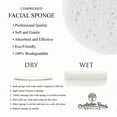 thumbnail image 2 of Charleston Roads Compressed Cellulose Facial Cleansing Sponge (White, 100), 2 of 4