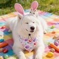 thumbnail image 5 of A 2Pc Easter Themed Pet Bandana Set Bunny Ear Headband Dog Scarf With Egg Print For Small Medium Dogs Spring Party Costume Celebration, 5 of 7