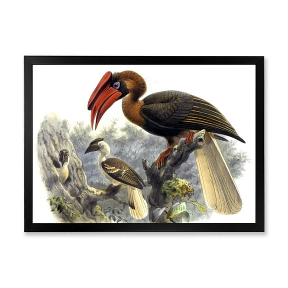 Designart 'Ancient Australian Birds XI' Traditional Framed Art Print