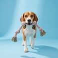 thumbnail image 2 of Vibrant Life Multicolor 4-Knot Rope Dog Toy, Chew Level 2, 2 of 9